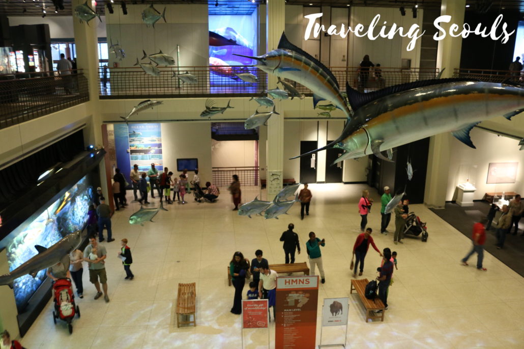 houston-s-museum-of-natural-science-traveling-seouls