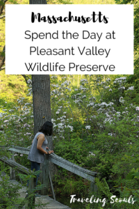 berkshires Pleasant Valley Wildlife Preserve Pinterest Graphic