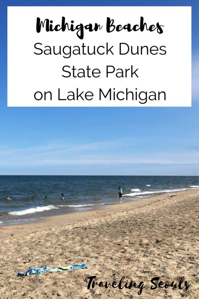 Windchills at Saugatuck Dunes State Park - Traveling Seouls